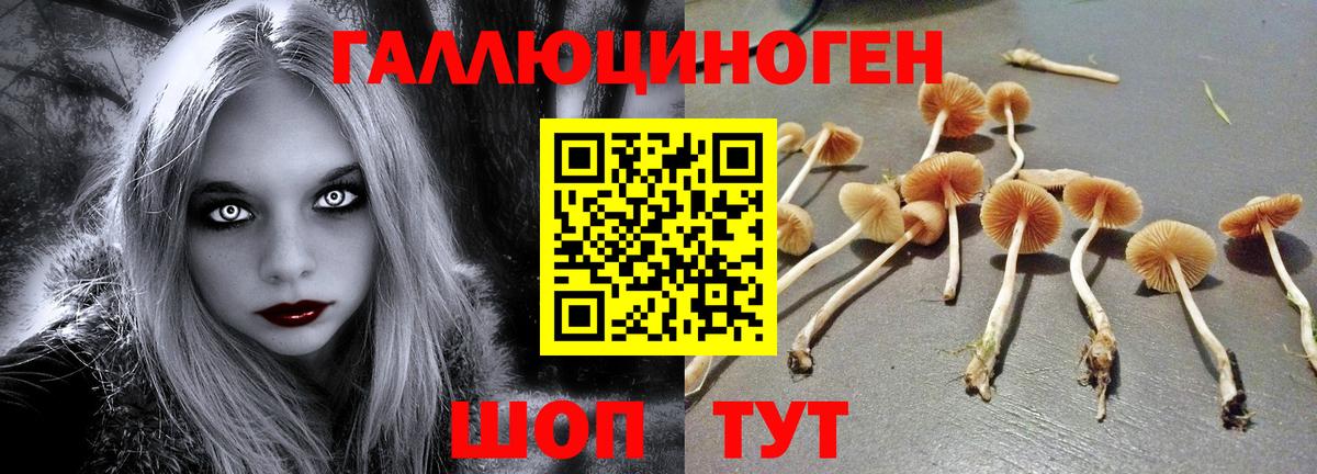 Псилоцибиновые грибы мухоморы Нягань